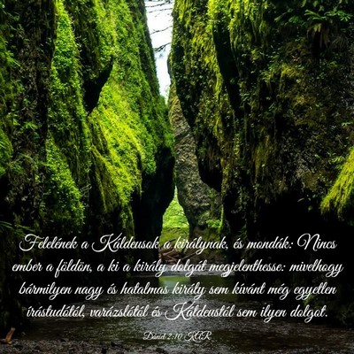 Picture 03 - Dániel 2:10 KAR - Felelének a Káldeusok a királynak, és - Bible Verse Picture