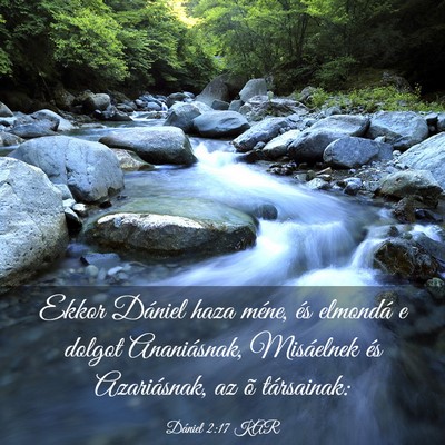 Picture 03 - Dániel 2:17 KAR - Ekkor Dániel haza méne, és elmondá e dolgot - Bible Verse Picture