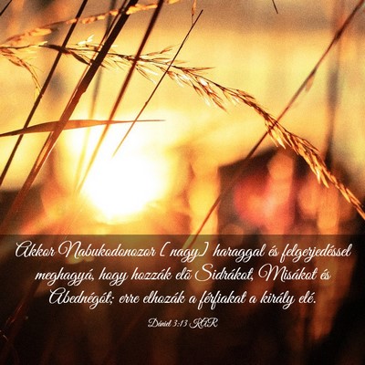 Picture 03 - Dániel 3:13 KAR - Akkor Nabukodonozor [nagy] haraggal és - Bible Verse Picture