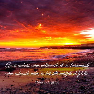 Picture 03 - Dániel 4:13 KAR - Az õ emberi szíve változzék el, és baromnak - Bible Verse Picture