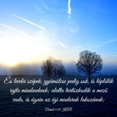 Picture 03 - Dániel 4:18 KAR - És levelei szépek, gyümölcse pedig sok, és - Bible Verse Picture