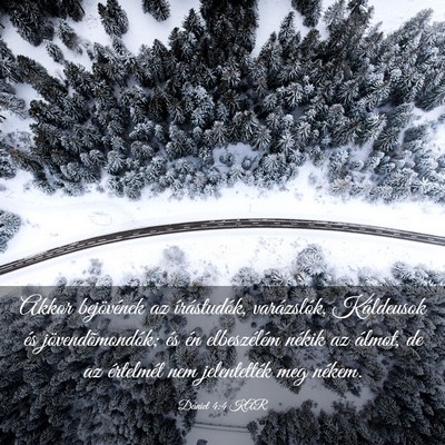 Picture 03 - Dániel 4:4 KAR - Akkor bejövének az írástudók, varázslók, - Bible Verse Picture