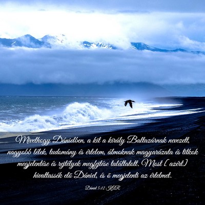 Picture 03 - Dániel 5:12 KAR - Mivelhogy Dánielben, a kit a király - Bible Verse Picture