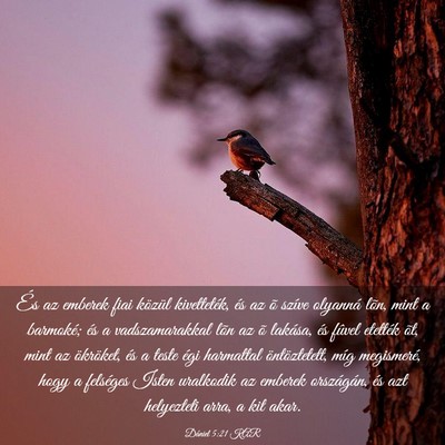Picture 03 - Dániel 5:21 KAR - És az emberek fiai közül kivetteték, és az - Bible Verse Picture