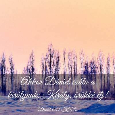 Picture 03 - Dániel 6:21 KAR - Akkor Dániel szóla a királynak: Király, - Bible Verse Picture