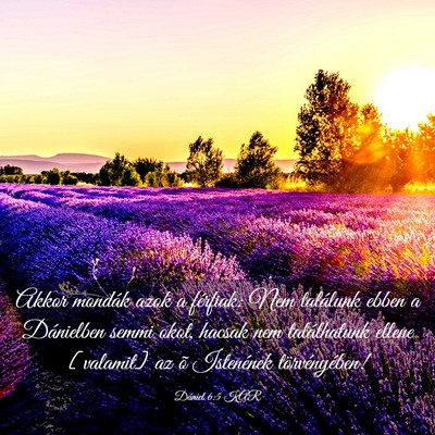 Picture 03 - Dániel 6:5 KAR - Akkor mondák azok a férfiak: Nem találunk - Bible Verse Picture