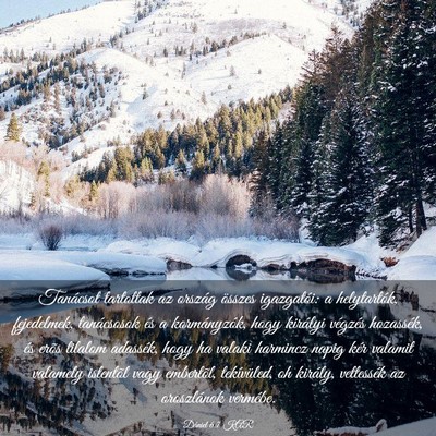 Picture 03 - Dániel 6:7 KAR - Tanácsot tartottak az ország összes - Bible Verse Picture