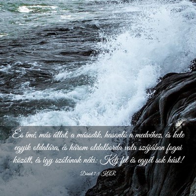 Picture 03 - Dániel 7:5 KAR - És ímé, más állat, a második, hasonló a - Bible Verse Picture