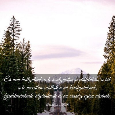 Picture 03 - Dániel 9:6 KAR - És nem hallgatánk a te szolgáidra, a - Bible Verse Picture