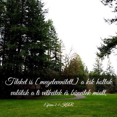 Picture 03 - Efézus 2:1 KAR - Titeket is [megelevenített,] a kik holtak - Bible Verse Picture