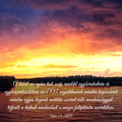 Picture 03 - Efézus 4:16 KAR - A kibõl az egész test, szép renddel - Bible Verse Picture