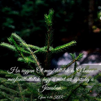 Picture 03 - Efézus 4:21 KAR - Ha ugyan Õt megértettétek és Õ benne - Bible Verse Picture
