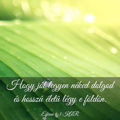 Picture 03 - Efézus 6:3 KAR - Hogy jól legyen néked dolgod és hosszú - Bible Verse Picture
