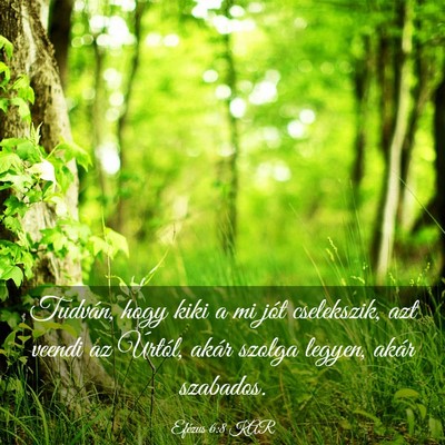 Picture 03 - Efézus 6:8 KAR - Tudván, hogy kiki a mi jót cselekszik, azt - Bible Verse Picture