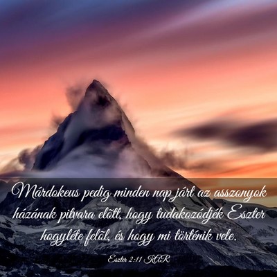 Picture 03 - Eszter 2:11 KAR - Márdokeus pedig minden nap járt az asszonyok - Bible Verse Picture