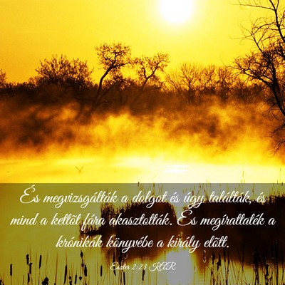 Picture 03 - Eszter 2:23 KAR - És megvizsgálták a dolgot és úgy találták, - Bible Verse Picture