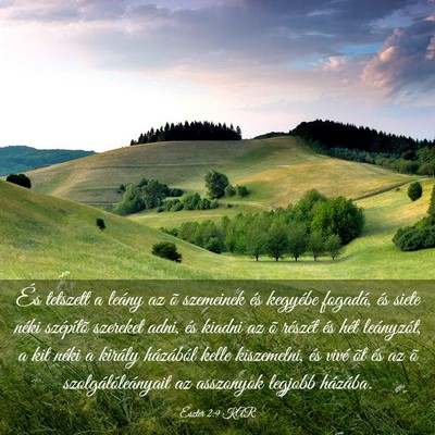 Picture 03 - Eszter 2:9 KAR - És tetszett a leány az õ szemeinek és - Bible Verse Picture