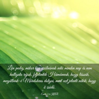 Picture 03 - Eszter 3:4 KAR - Lõn pedig, mikor így szólnának néki minden - Bible Verse Picture