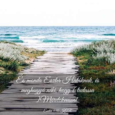 Picture 03 - Eszter 4:10 KAR - És monda Eszter Hatáknak, és meghagyá néki, - Bible Verse Picture