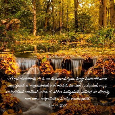 Picture 03 - Eszter 7:4 KAR - Mert eladattunk, én és az én nemzetségem, - Bible Verse Picture