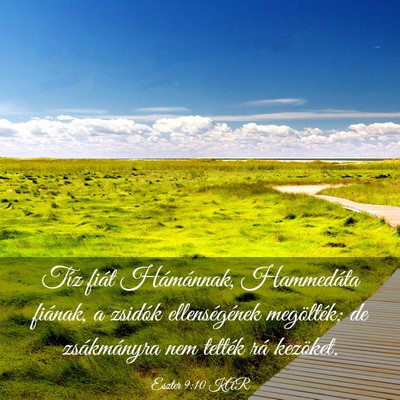 Picture 03 - Eszter 9:10 KAR - Tíz fiát Hámánnak, Hammedáta fiának, a - Bible Verse Picture