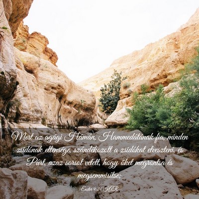 Picture 03 - Eszter 9:24 KAR - Mert az agági Hámán, Hammedátának fia, - Bible Verse Picture