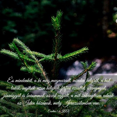 Picture 03 - Ezsdrás 1:4 KAR - És mindenkit, a ki még megmaradt, minden - Bible Verse Picture