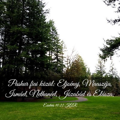 Picture 03 - Ezsdrás 10:22 KAR - Pashur fiai közül: Eljoénaj, Maaszéja, - Bible Verse Picture