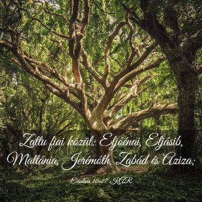 Picture 03 - Ezsdrás 10:27 KAR - Zattu fiai közül: Eljóénai, Eljásib, - Bible Verse Picture