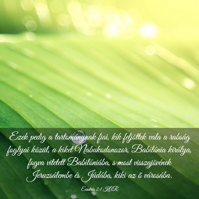 Picture 03 - Ezsdrás 2:1 KAR - Ezek pedig a tartománynak fiai, kik feljöttek - Bible Verse Picture