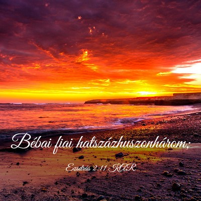 Picture 03 - Ezsdrás 2:11 KAR - Bébai fiai - Bible Verse Picture