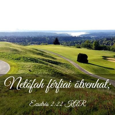 Picture 03 - Ezsdrás 2:22 KAR - Netófah férfiai - Bible Verse Picture