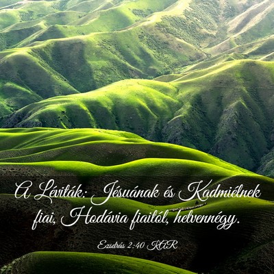 Picture 03 - Ezsdrás 2:40 KAR - A Léviták: Jésuának és Kadmiélnek fiai, - Bible Verse Picture