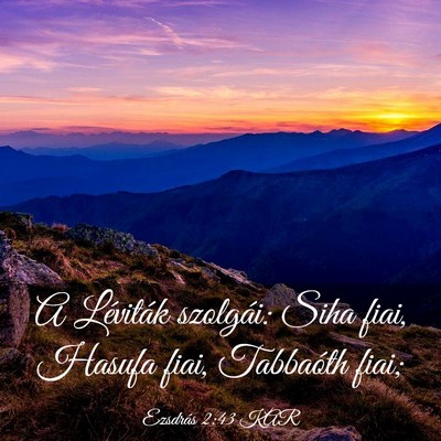 Picture 03 - Ezsdrás 2:43 KAR - A Léviták szolgái: Siha fiai, Hasufa fiai, - Bible Verse Picture