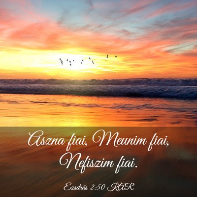 Picture 03 - Ezsdrás 2:50 KAR - Aszna fiai, Meunim fiai, Nefiszim - Bible Verse Picture
