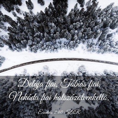 Picture 03 - Ezsdrás 2:60 KAR - Delája fiai, Tóbiás fiai, Nekóda fiai - Bible Verse Picture