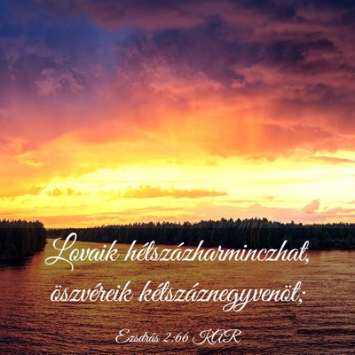 Picture 03 - Ezsdrás 2:66 KAR - Lovaik hétszázharminczhat, öszvéreik - Bible Verse Picture