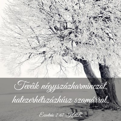 Picture 03 - Ezsdrás 2:67 KAR - Tevéik négyszázharminczöt, - Bible Verse Picture