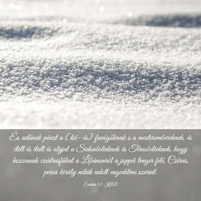 Picture 03 - Ezsdrás 3:7 KAR - És adának pénzt a [kõ- és] favágóknak s a - Bible Verse Picture