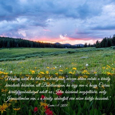 Picture 03 - Ezsdrás 5:17 KAR - Mostan azért, ha tetszik a királynak, nézzen - Bible Verse Picture
