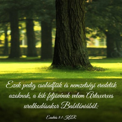 Picture 03 - Ezsdrás 8:1 KAR - Ezek pedig családfõik és nemzetségi eredetök - Bible Verse Picture