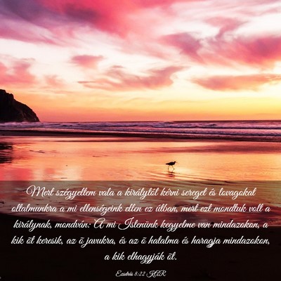 Picture 03 - Ezsdrás 8:22 KAR - Mert szégyeltem vala a királytól kérni - Bible Verse Picture