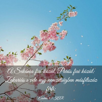 Picture 03 - Ezsdrás 8:3 KAR - A Sekánia fiai közül, Parós fiai közül: - Bible Verse Picture