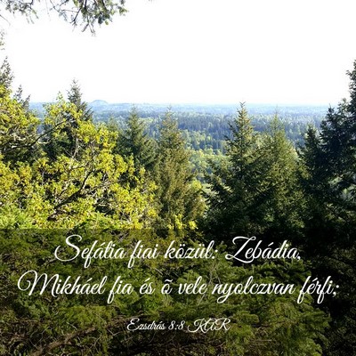 Picture 03 - Ezsdrás 8:8 KAR - Sefátia fiai közül: Zebádia, Mikháel fia és - Bible Verse Picture