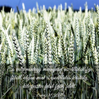 Picture 03 - Ezékiel 1:22 KAR - És vala mintegy mennyezet az állatok feje - Bible Verse Picture