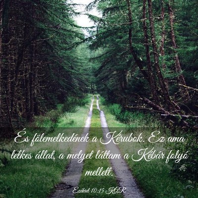 Picture 03 - Ezékiel 10:15 KAR - És fölemelkedének a Kérubok. Ez ama lelkes - Bible Verse Picture