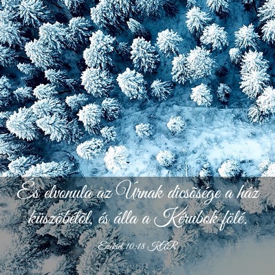 Picture 03 - Ezékiel 10:18 KAR - És elvonula az Úrnak dicsõsége a ház - Bible Verse Picture