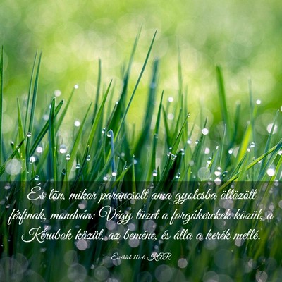 Picture 03 - Ezékiel 10:6 KAR - És lõn, mikor parancsolt ama gyolcsba - Bible Verse Picture