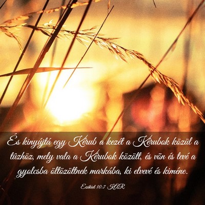 Picture 03 - Ezékiel 10:7 KAR - És kinyújtá egy Kérub a kezét a Kérubok - Bible Verse Picture