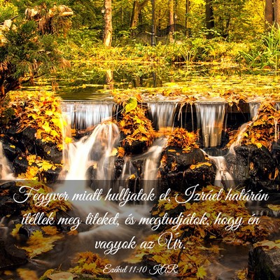 Picture 03 - Ezékiel 11:10 KAR - Fegyver miatt hulljatok el, Izráel határán - Bible Verse Picture